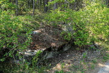 old bunker pieces in the forest