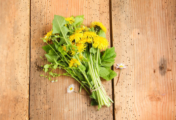 Wildkräuter Salat sammeln Butterblume Löwenzahn