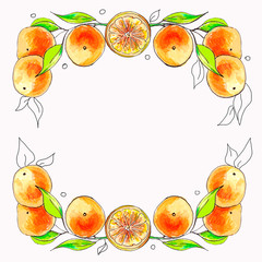 Frame of oranges on a branch. Watercolor illustration