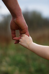 A small child's hand in his father's big palm. My daughter is holding my father's hand. Strong family, parenting, care and upbringing. The concept of family, protection, reliability, a bright future