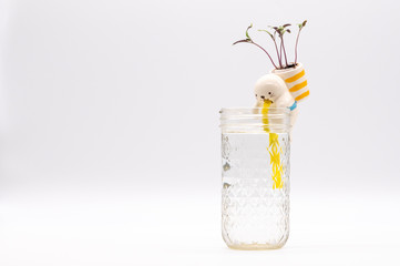 Sprout growing with a self-watering system