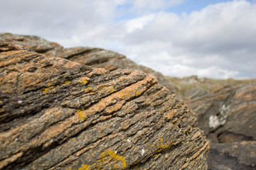 interesting view of a piece of stone