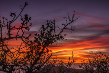 Sunset colors
