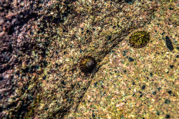Under the sea