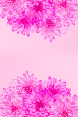 Purple flowers on pastel pink background. Design template for web with space for text.