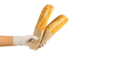 Gloved hand holding two freshly baguettes. Concept of food preparation, safe shopping, home delivery service during coronavirus pandemic. Isolated on white background. Banner, template, space for text