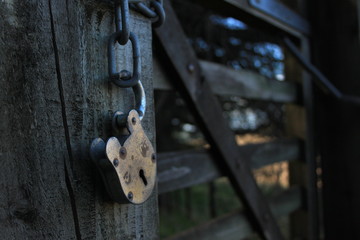Beautiful padlock on sheep gate