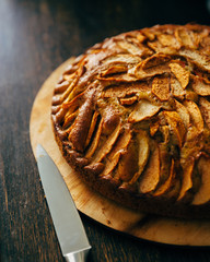 Closeup view of natural homemade apple pie on dark rustic wooden table with empty space