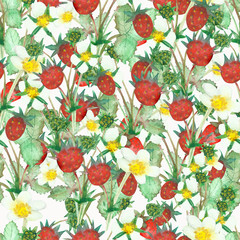 Watercolor hand painted nature forest meadow background composition with red wild strawberry, white yellow blossom flowers and green leaves on branches texture for design elements
