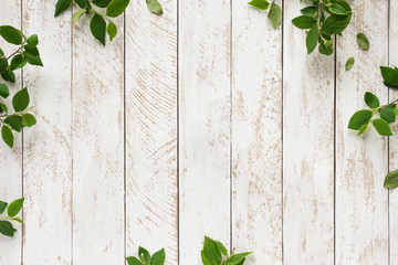 Old background with green leaves