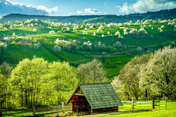 Spring Slovakia landscape. Nature fields with blooming cherries. Unique ecological land management. Polana region, Hrinova, Slovakia Europe. © Zedspider