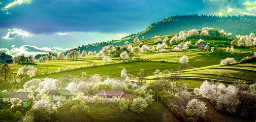 Spring Slovakia landscape. Nature fields with blooming cherries. Unique ecological land management. Polana region, Hrinova, Slovakia Europe. © Zedspider