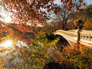 Fototapeta na wymiar Autumn in Central Park at the Bow bridge