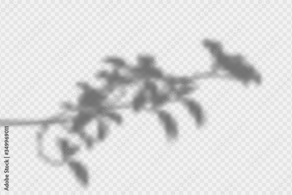 Poster shadow overlay effect. transparent overlay shadow from leaves, branches, plant and foliage. realisti