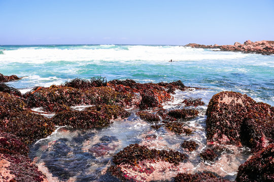 Rocas y surf en El Quisco
