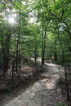 Providence Canyon State Park, Georgia (USA)