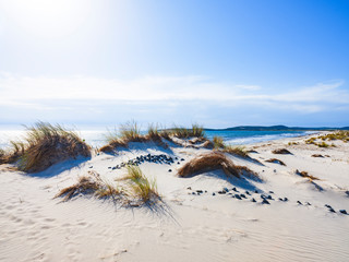 The Porto Pino beach, about four kilometres long of white sand and dunes, Sant’Anna Arresi, Sardinia, Italy
