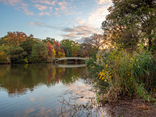Fototapeta premium Autumn in Central Park at the Bow bridge