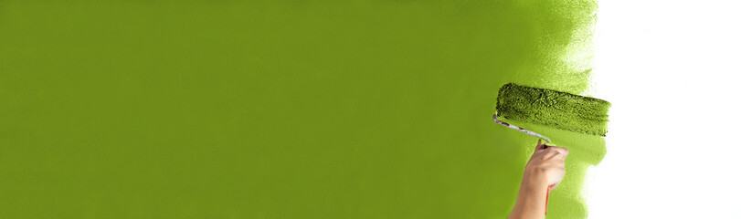 Human hand with large roller of paint begins to paint a white wall handicraft education contrast color sample color test tool renovation green dark green olive