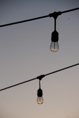 light strings at dusk