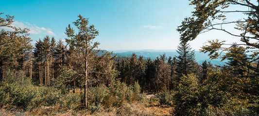 Schwarzwald / Schwarzwaldhochstraße - Wunderschöne Landschaft Panorama vom Wald am Tag, mit...