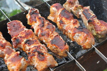 shish kebab on a skewer
