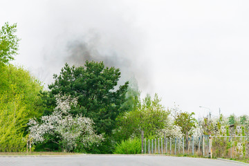 Black smoke over a green garden