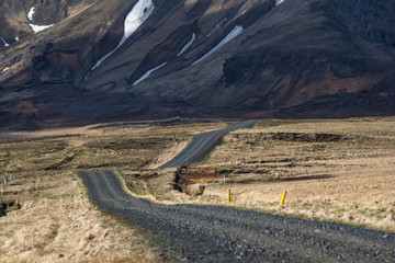 Road Through The Field
