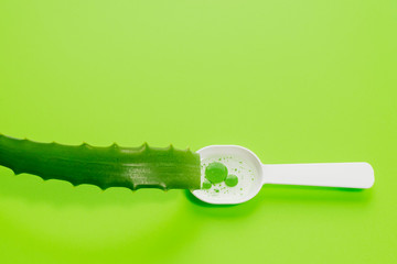 A sprig of the medicinal plant aloe