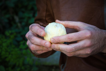 man holds in hands peeled round orange fruit