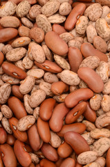 PINTO BEANS/LIGHT RED BEANS/BLACK BEANS