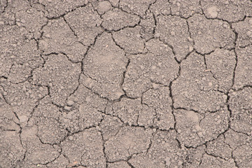 Cracked earth from drought. Dry season, no harvest. Textured cracks on chernozem, background.
