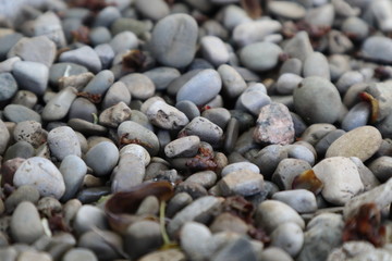 Stones and pebbles