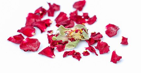 Close-up Of Red Petals Over White Background