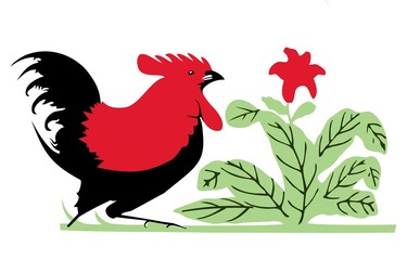 chicken illustration vector isolated on white background