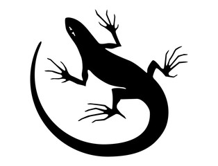 Silhouette of a lizard. Tattoo, logo, sign, illustration
