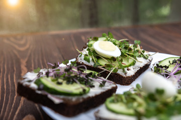 sandwiches with microgreens, cucumber and quail eggs on a white plate. wooden background. a kind of sunny glare. healthy diet. feed option. young sprouts of radish and red cabbage - Powered by Adobe