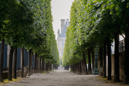 jardin tuileries