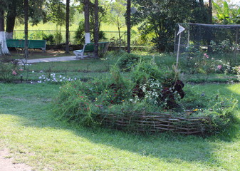 Obraz premium Flower beds, paths.