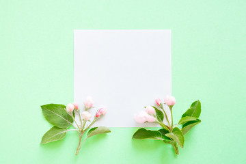 Summer and spring composition. Branch of a blossoming apple tree, white paper blank on mint background. Summer and spring concept. Flat lay, top view, copy space