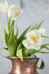 White tulips in old copper vase