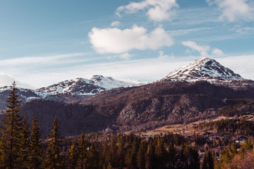 Obraz premium Mountain landscape with snow and trees, Norway.