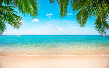 Panele Szklane  tropikalna plaża z palmami kokosowymi
