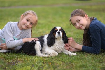 two little girls with Cavalier King Charles Spaniel dog outdoors in the nature on a sunny day.