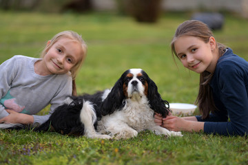 two little girls with Cavalier King Charles Spaniel dog outdoors in the nature on a sunny day.