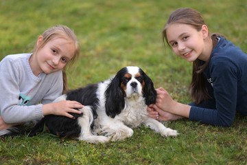 two little girls with Cavalier King Charles Spaniel dog outdoors in the nature on a sunny day.