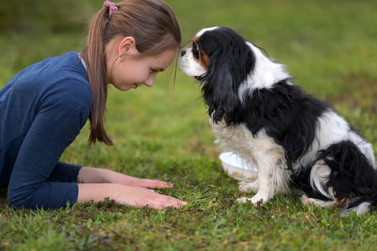 person with a dog
