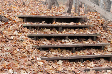 Fall Leaf Covered Wooden Steps