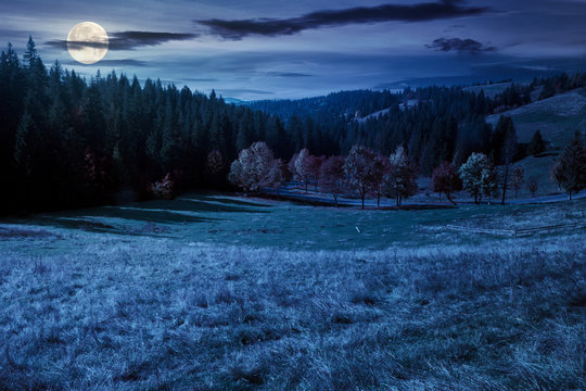 forest in red foliage at autumn night. trees with branches with red foliage in forest. hillside in mountains with high peak in the distance in full moon light