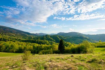 Fototapeta na wymiar green fields rural landscape. beautiful countryside nature in spring. scenic view of meadow in grass. peaceful nature scenery. hills rolling in to the distant mountain